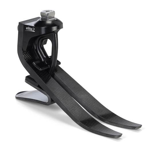 Elite 2 prosthetic foot