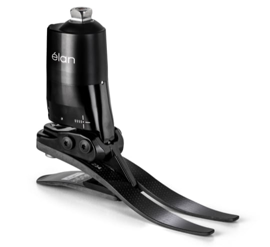 Elan prosthetic foot